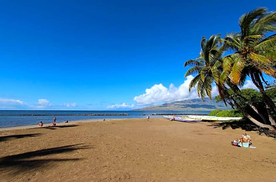 Walk to Beach! Full Kitchen and Pool