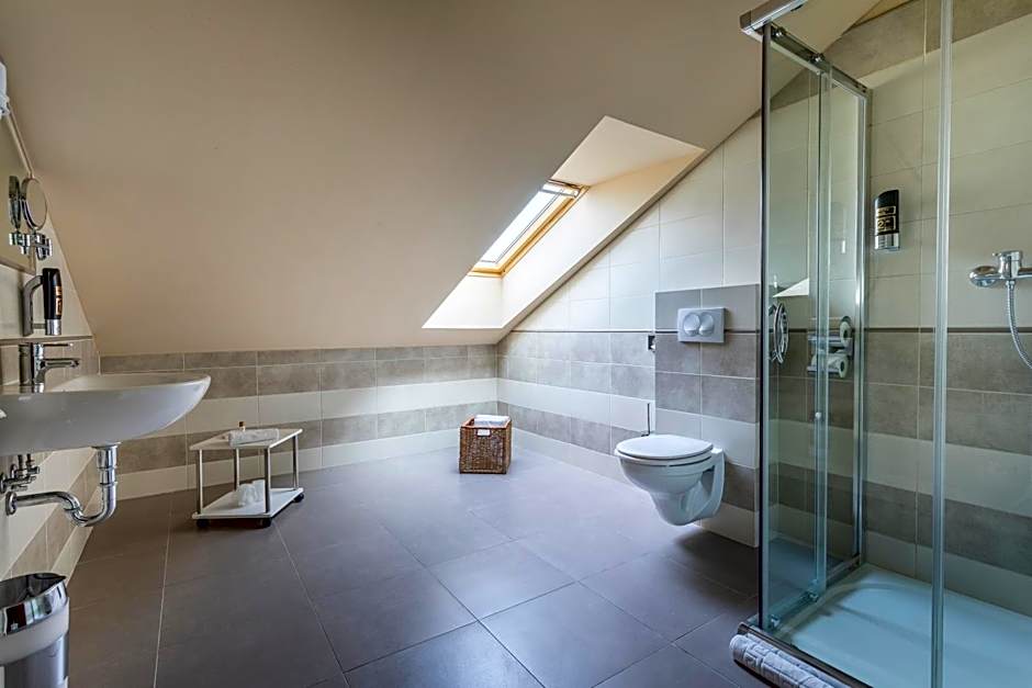 Hotel Gino Park Palace - Kaštieľ Orlové