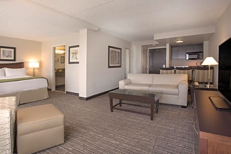 1 King Bed Suite