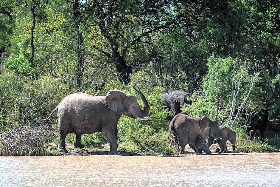 Kapama Southern Camp