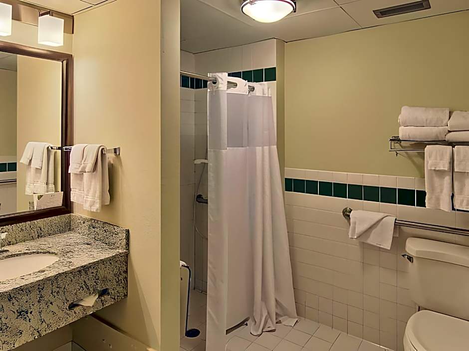 Blossom Hotel & Suites Traverse City