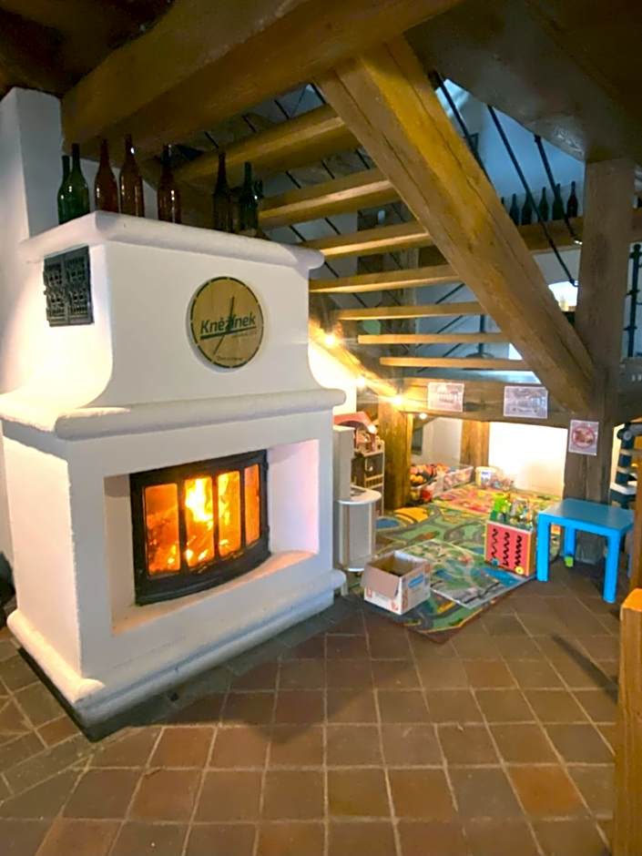 Wellness hotel & minipivovar Kněžínek