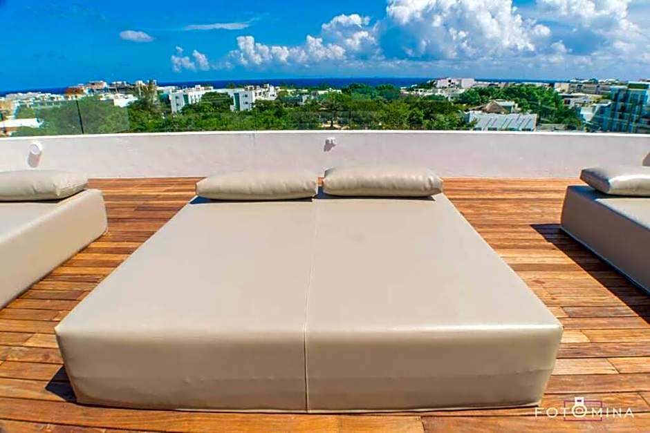 Solea 101