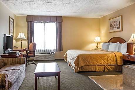 Suite with 1 King Bed - No Smoking