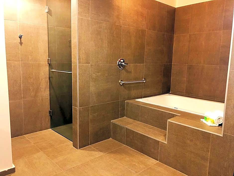 Holiday Inn San Luis Potosi-Quijote By IHG