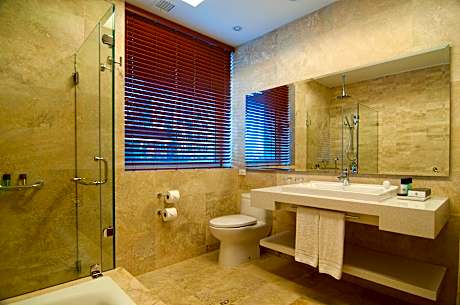 1 King Premium Lounge Access