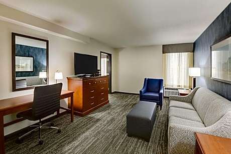 Deluxe King Suite