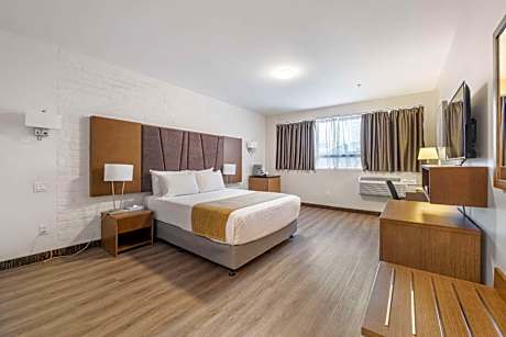 Queen Suite with Sofa Bed - Non-Smoking