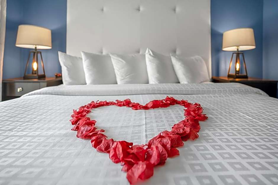 Avalon Hotel Downtown St. Petersburg