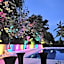 Hotel Fantazia