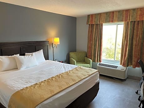 King Room with Mobility Accessible Tub and Sofa Bed