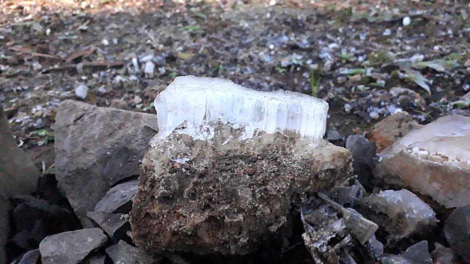 Morada do Xaxim - Chalé Hortência