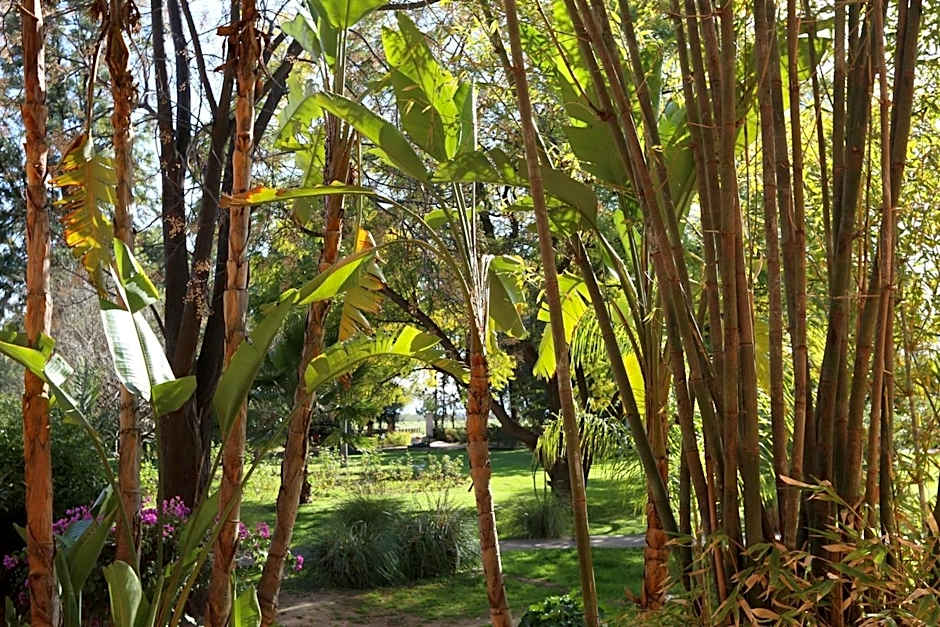 La Vie En Rose - Horses & Dogs House