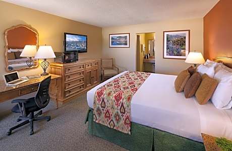 Deluxe King Room