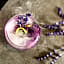 Boutique & Fashion Hotel Maciaconi - Gardenahotels