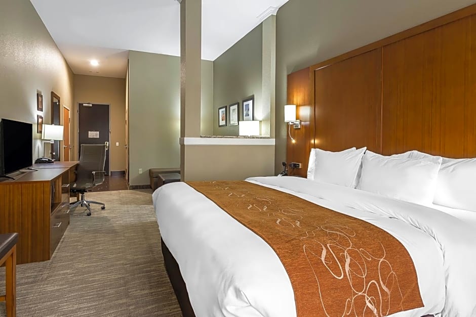 Comfort Suites University
