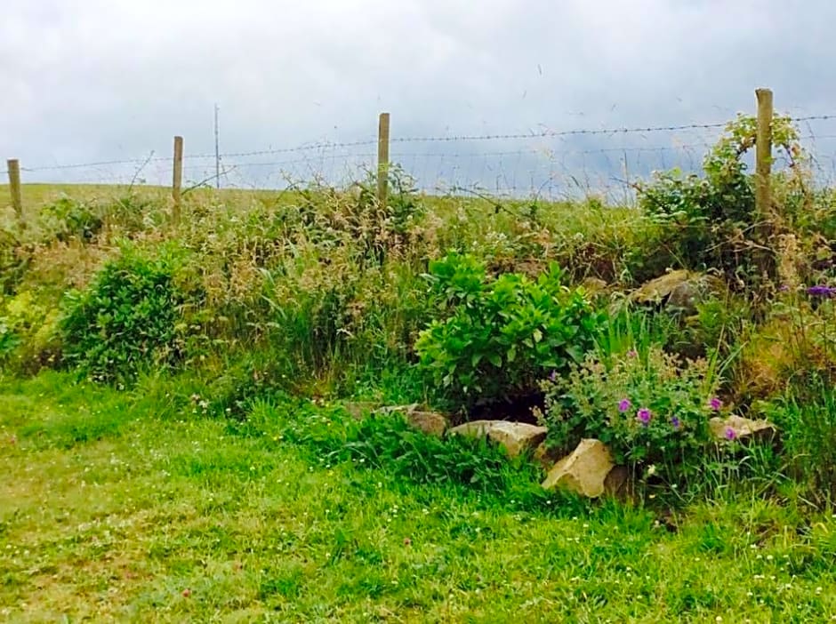 Holland House F94DP26