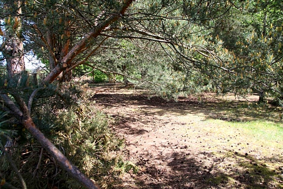 Dom imprezowy z noclegami Dziecinów