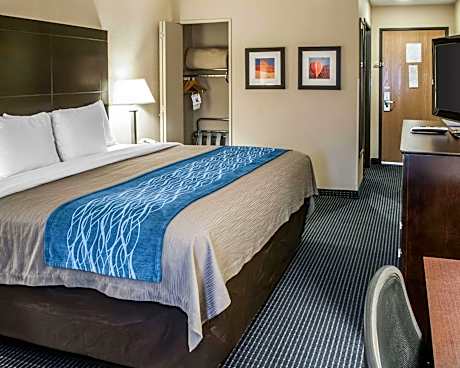 1 King Bed, Nonsmoking, Accessible