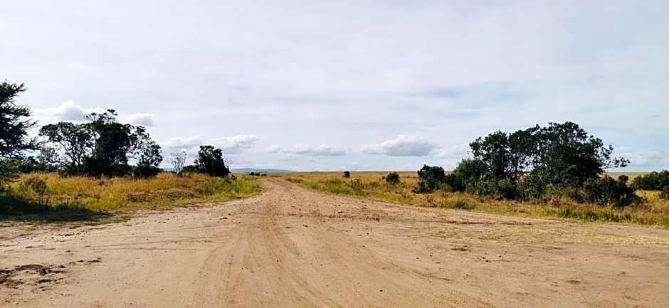 Fig Tree Camp - Maasai Mara