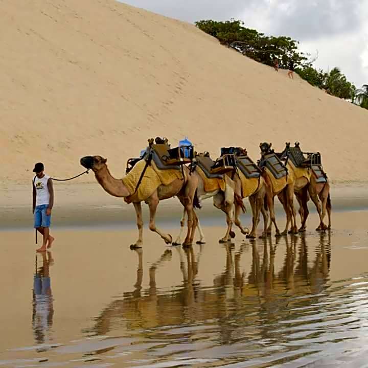 Atlântico Flat 104 e 116