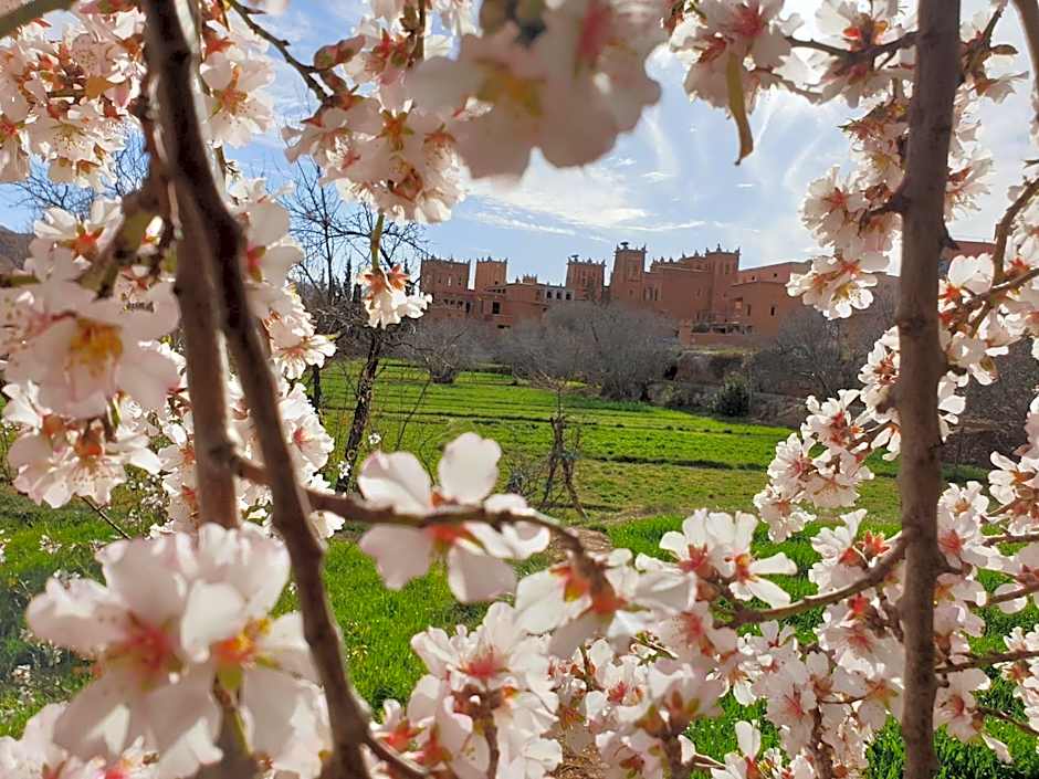 Dar Jnan Tiouira Dades