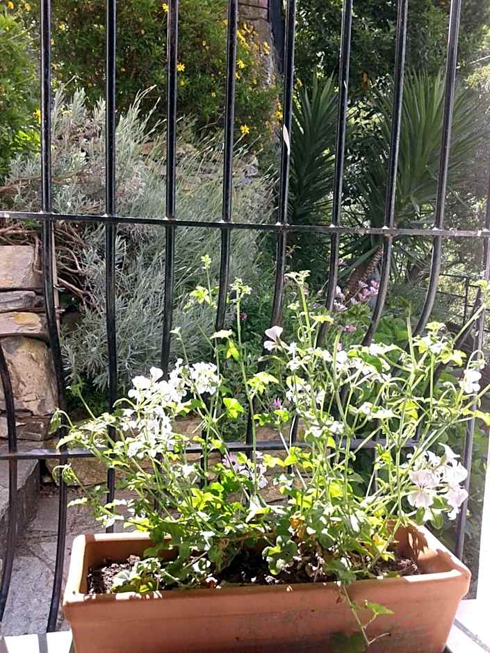 B&B I Glicini