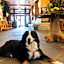 Nita Lake Lodge