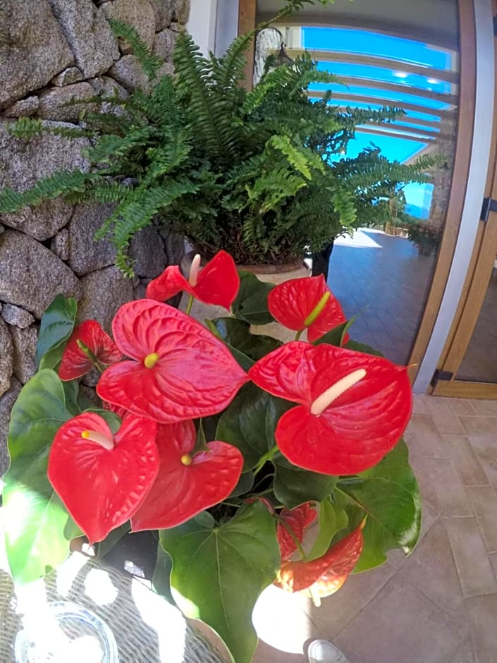 Hotel Villa Gustui Maris