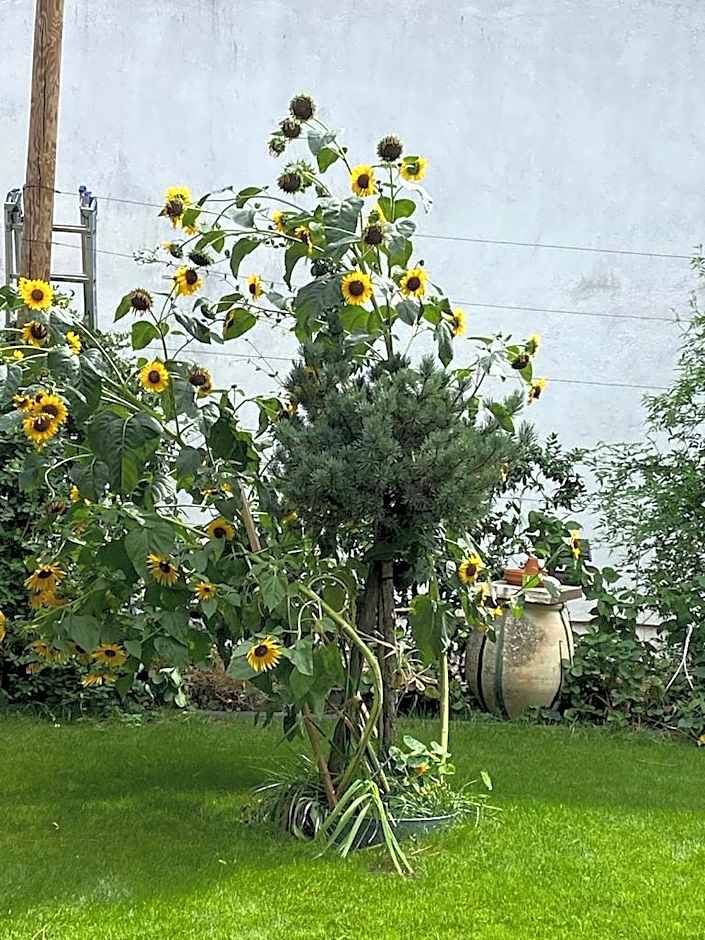 VILLA MADY Adultes Only