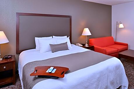 King Room with Sofa Bed- Non Smoking