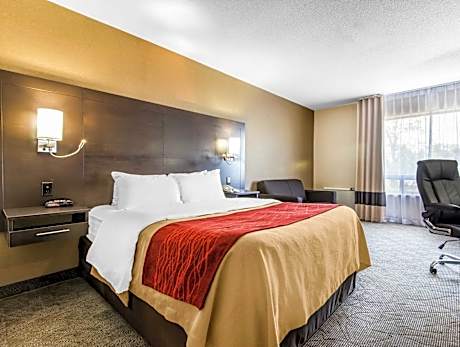 2 Double Beds No Smoking