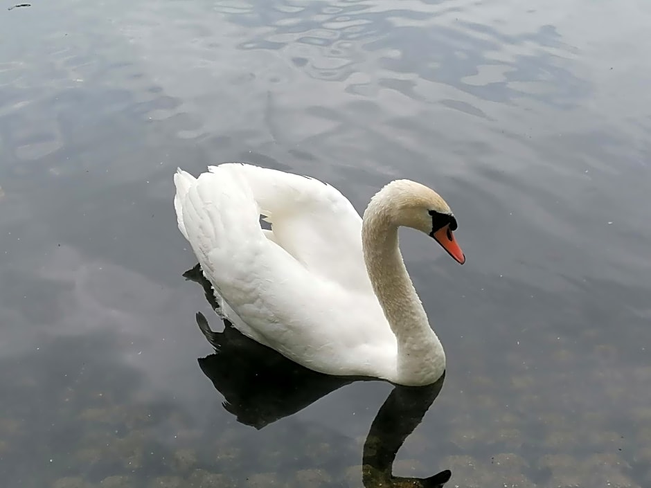 Clumber Lane End Farm