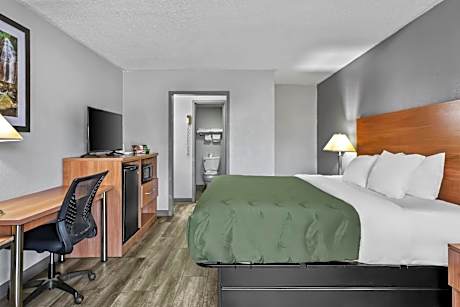 King Room - Accessible/Smoking