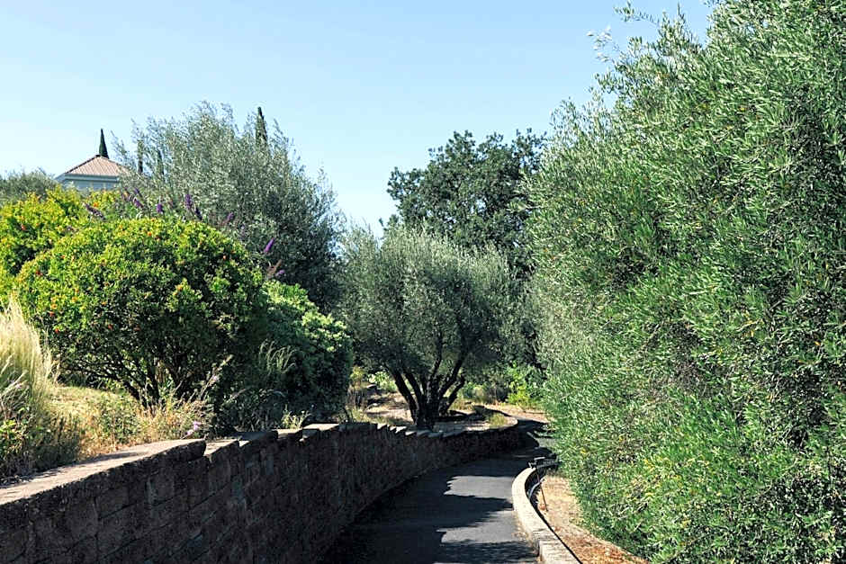 Le Petit Pali St Helena
