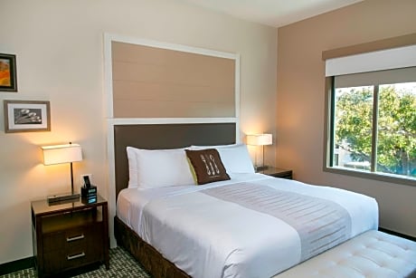 Suite, 1 Bedroom, Non Smoking (1 King Bed and 1 Double Sofa Bed)