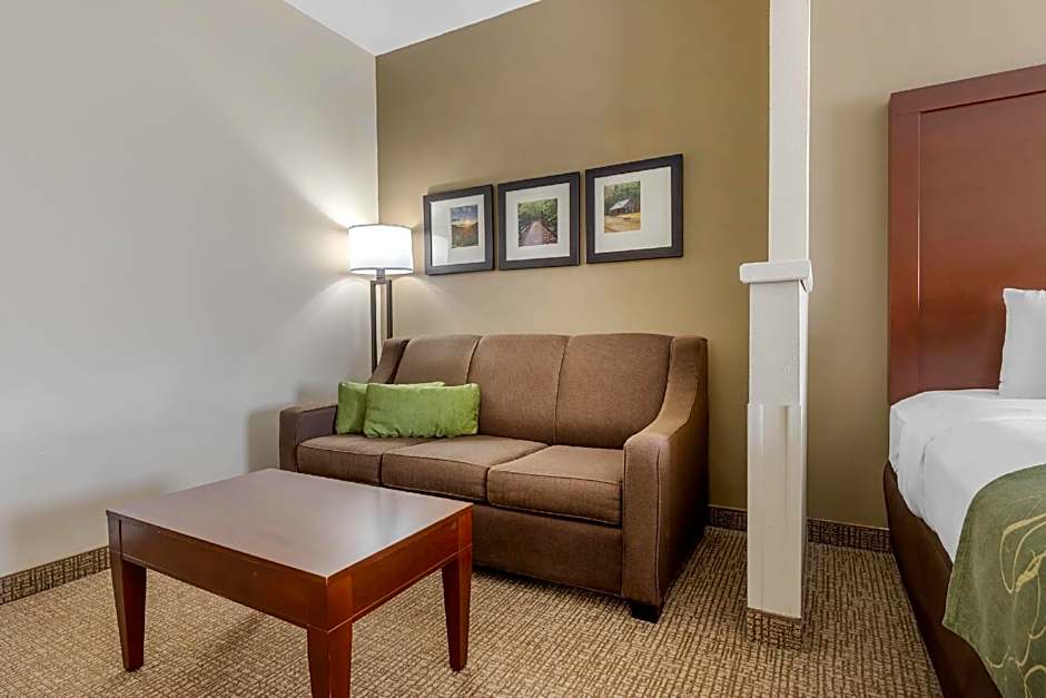 Comfort Suites Johnson City near University