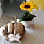 A1 Girasole B&B