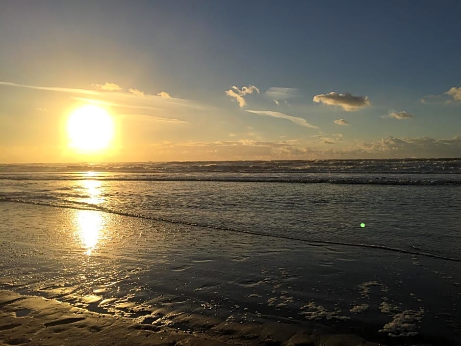 B&B Little Miss Sunshine