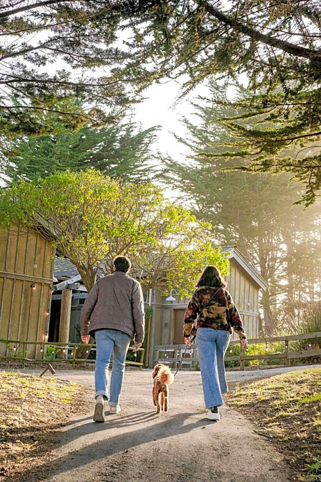 Costanoa