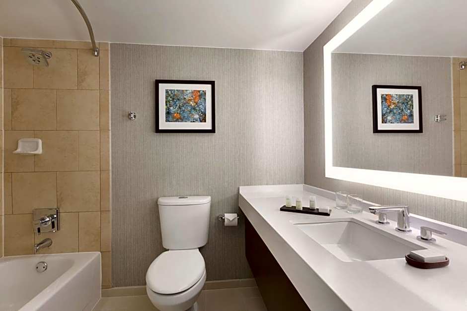 Embassy Suites By Hilton Hotel Chicago-Lombard/Oak Brook