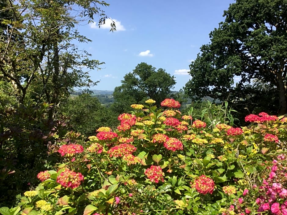 Dwynant - A Room with a View