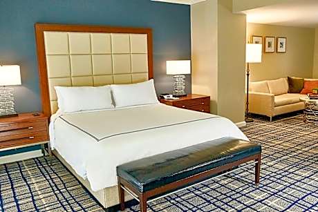 Terrace Suite, Suite, 1 King, Balcony