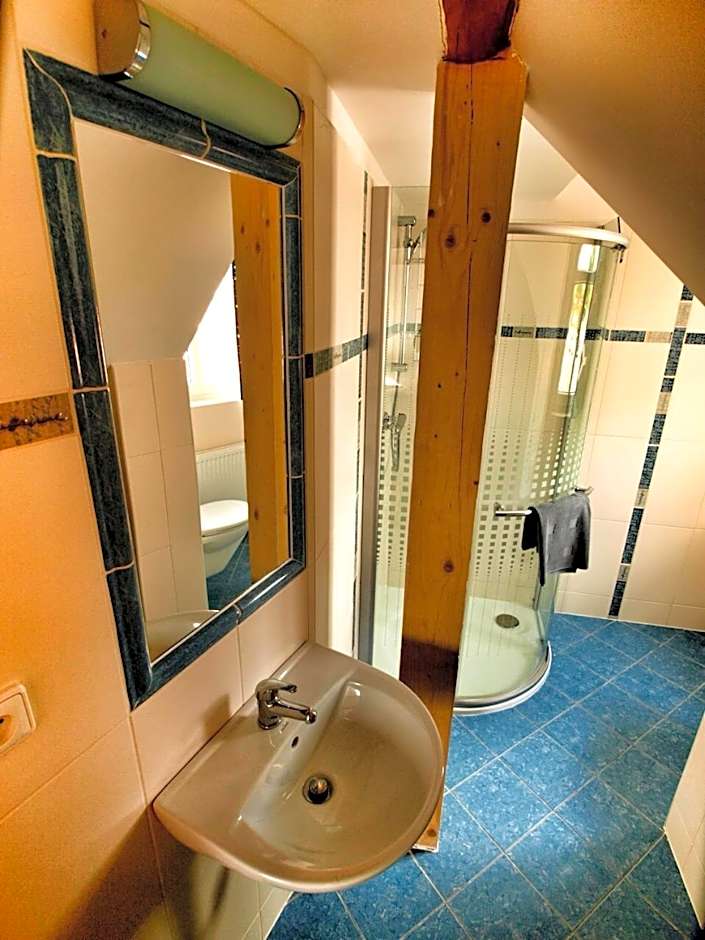 Hotel Pod Kokšínem