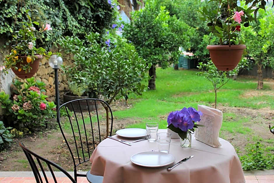 Il giardino degli aranci