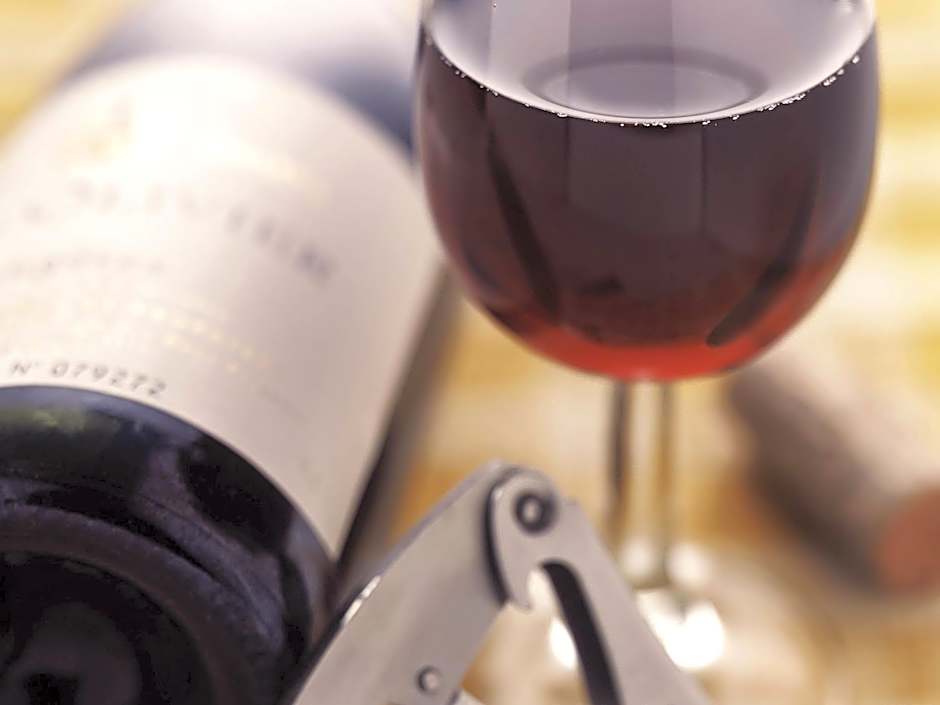 ibis Orly Chevilly Tram 7