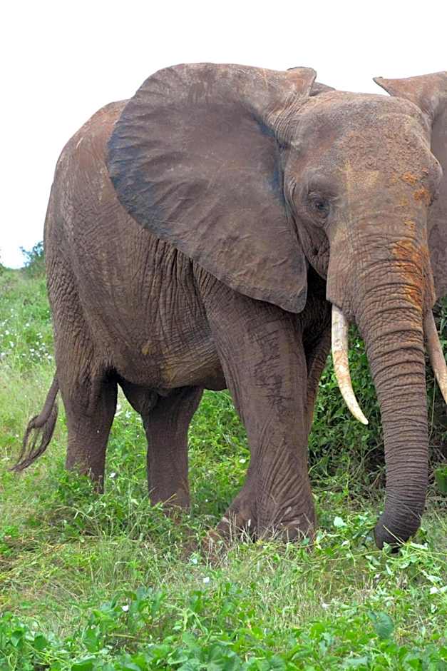 Pole Pole Beach House