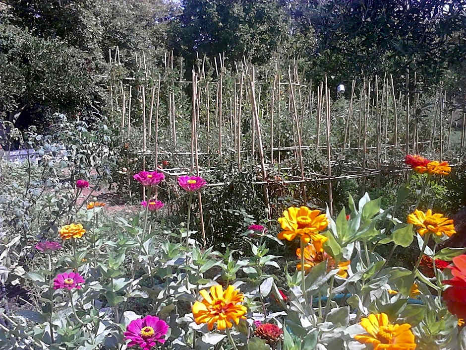 Appartamenti Angelika