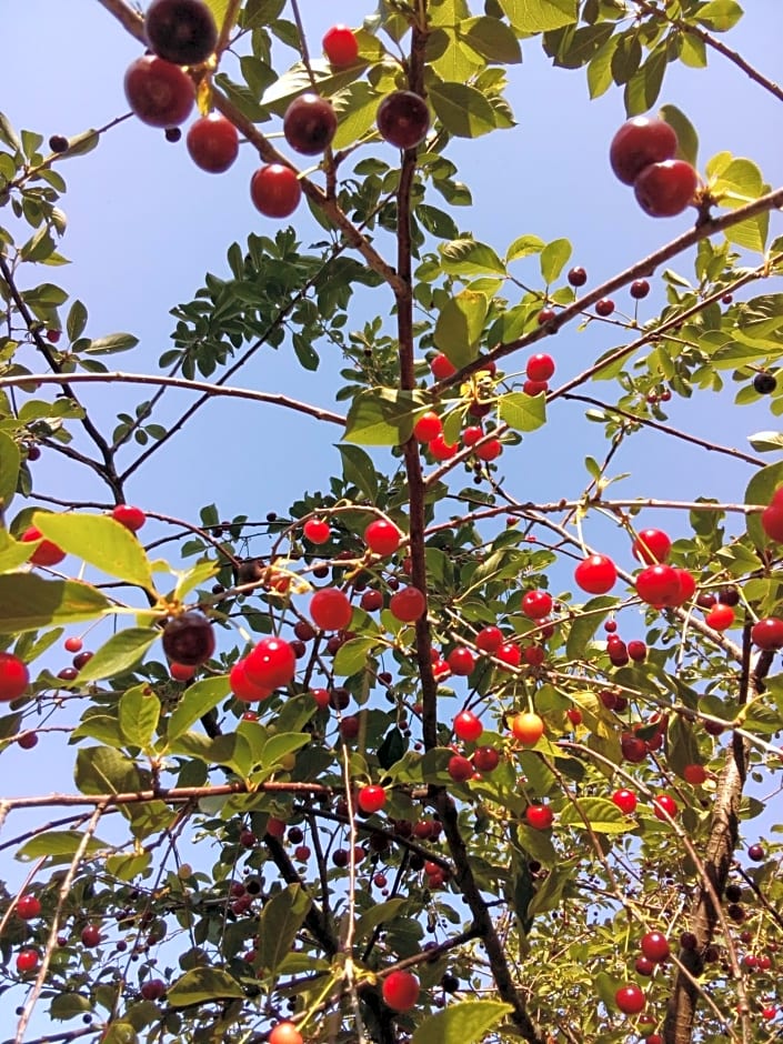 Bed & Breakfast SENTIERO 54