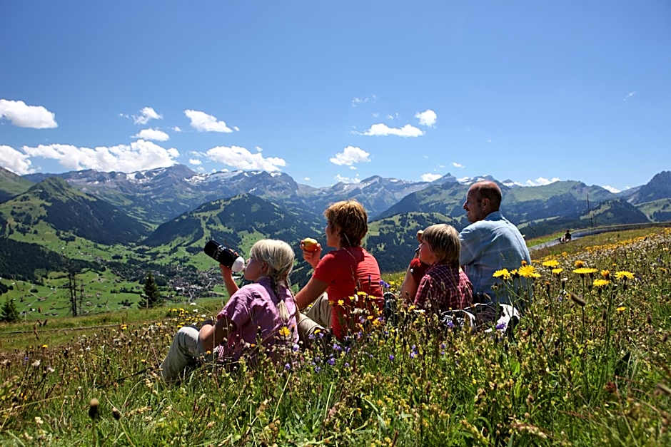 Hotel Spitzhorn Superieur